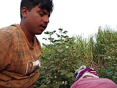 Indian Shemale Movies  - Pooja Shemale Bhabhi Cotton Farming Coming and Big Age boyfriend Ass Lover - Desi Fucking - Hindi Voice