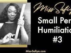 Preview - Small Penis Humiliation #3 - Audio Only